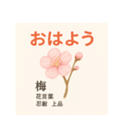 花ことばスタンプ24（個別スタンプ：11）