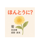 花ことばスタンプ24（個別スタンプ：15）