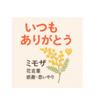 花ことばスタンプ24（個別スタンプ：16）
