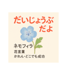 花ことばスタンプ24（個別スタンプ：17）