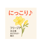 花ことばスタンプ24（個別スタンプ：22）