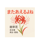 花ことばスタンプ24（個別スタンプ：23）