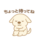まるいぬくんの日常会話スタンプ（個別スタンプ：8）
