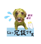 3兄弟レオン、マロ、ロン10（個別スタンプ：3）