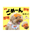3兄弟レオン、マロ、ロン10（個別スタンプ：15）