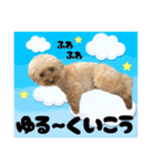 3兄弟レオン、マロ、ロン10（個別スタンプ：16）
