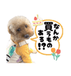 3兄弟レオン、マロ、ロン10（個別スタンプ：19）