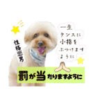 3兄弟レオン、マロ、ロン10（個別スタンプ：32）