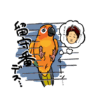 PANAと鳥(善ちゃん)の日常（個別スタンプ：15）