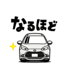 大好き！優しいコンパクトエコカー（個別スタンプ：19）