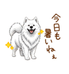 もふもふ敬語★サモエドさん（個別スタンプ：3）