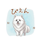 もふもふ敬語★サモエドさん（個別スタンプ：4）