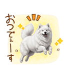 もふもふ敬語★サモエドさん（個別スタンプ：6）