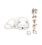 もふもふ敬語★サモエドさん（個別スタンプ：7）