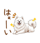 もふもふ敬語★サモエドさん（個別スタンプ：9）