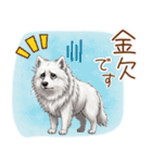 もふもふ敬語★サモエドさん（個別スタンプ：10）