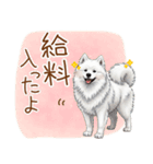もふもふ敬語★サモエドさん（個別スタンプ：11）