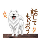 もふもふ敬語★サモエドさん（個別スタンプ：17）