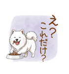 もふもふ敬語★サモエドさん（個別スタンプ：20）