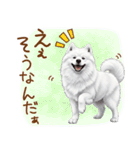 もふもふ敬語★サモエドさん（個別スタンプ：21）