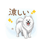 もふもふ敬語★サモエドさん（個別スタンプ：23）