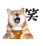 わんとも！ビール！柴犬（やさしい敬語）（個別スタンプ：7）