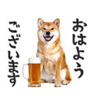 わんとも！ビール！柴犬（やさしい敬語）（個別スタンプ：9）