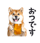 わんとも！ビール！柴犬（やさしい敬語）（個別スタンプ：13）
