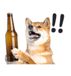 わんとも！ビール！柴犬（やさしい敬語）（個別スタンプ：15）