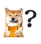 わんとも！ビール！柴犬（やさしい敬語）（個別スタンプ：16）