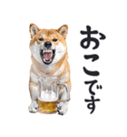 わんとも！ビール！柴犬（やさしい敬語）（個別スタンプ：28）