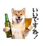 わんとも！ビール！柴犬（やさしい敬語）（個別スタンプ：31）