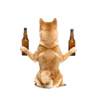 わんとも！ビール！柴犬（やさしい敬語）（個別スタンプ：32）