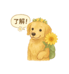 花といっしょに わんこスタンプ（個別スタンプ：3）