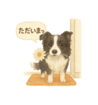 花といっしょに わんこスタンプ（個別スタンプ：7）