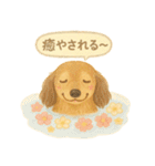 花といっしょに わんこスタンプ（個別スタンプ：28）