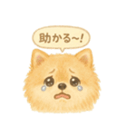 花といっしょに わんこスタンプ（個別スタンプ：38）