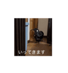 こうめLv100（個別スタンプ：11）