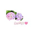 ❤️梅雨☂️カエル❤️心も晴れますように❤️（個別スタンプ：4）