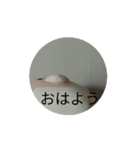 動くうさぎのスタンプ（個別スタンプ：4）
