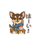 チワワさんの夏スタンプ（個別スタンプ：1）