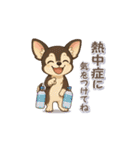 チワワさんの夏スタンプ（個別スタンプ：15）