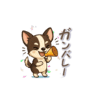 チワワさんの夏スタンプ（個別スタンプ：16）
