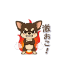 チワワさんの夏スタンプ（個別スタンプ：21）