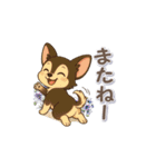 チワワさんの夏スタンプ（個別スタンプ：24）