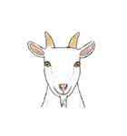 リアル寄りの動物イラスト＋文字・飾り（個別スタンプ：1）