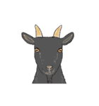 リアル寄りの動物イラスト＋文字・飾り（個別スタンプ：2）