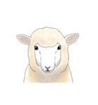 リアル寄りの動物イラスト＋文字・飾り（個別スタンプ：3）