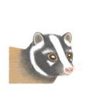 リアル寄りの動物イラスト＋文字・飾り（個別スタンプ：5）