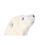 リアル寄りの動物イラスト＋文字・飾り（個別スタンプ：8）